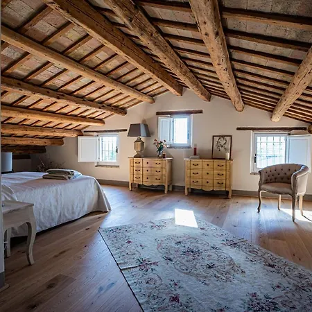 Villa Il Sogno - Homelike *